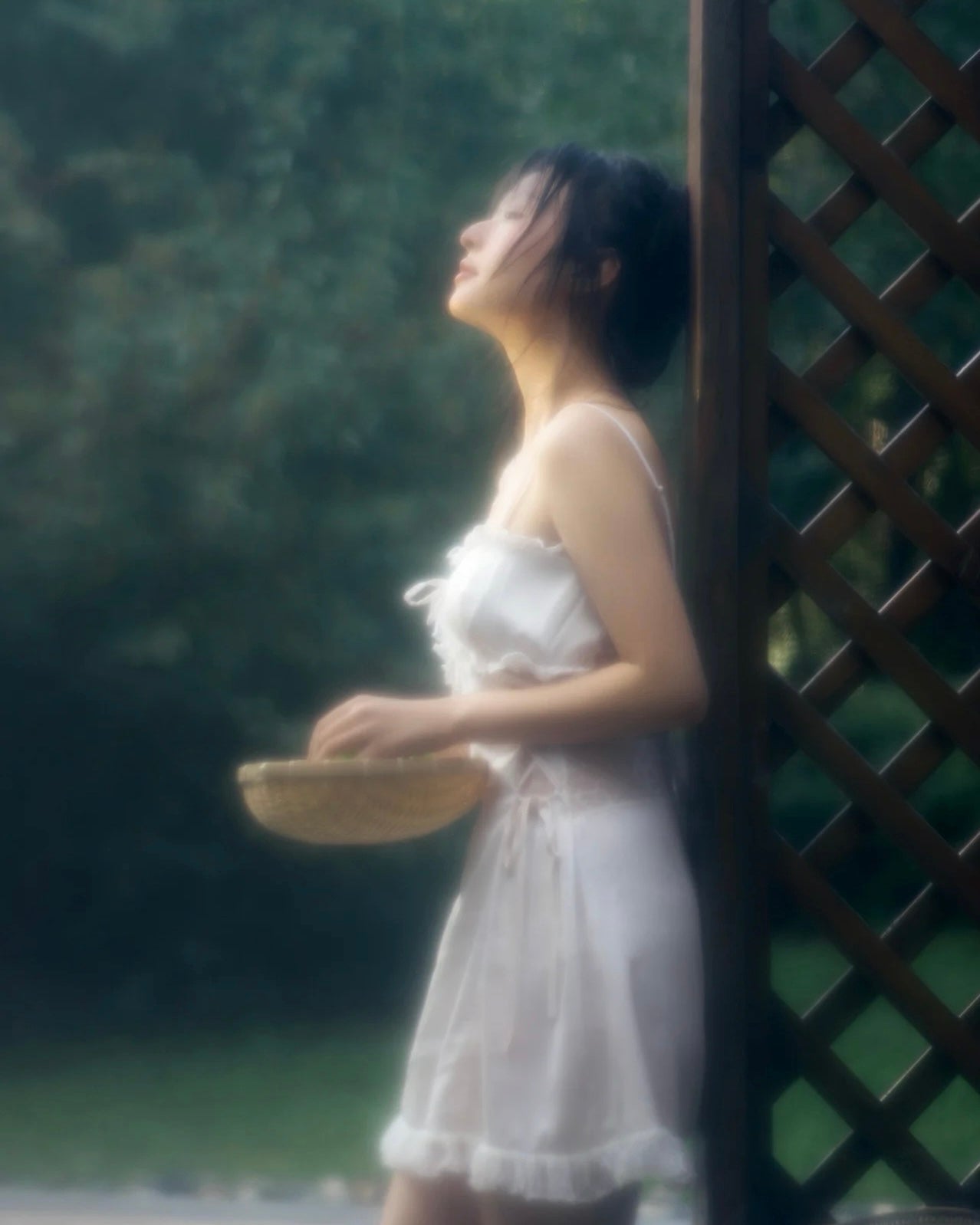 Nuisette Swan en Dentelle Ivoire